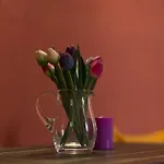 Casa Magnolia Apartment