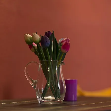 Casa Magnolia Διαμέρισμα