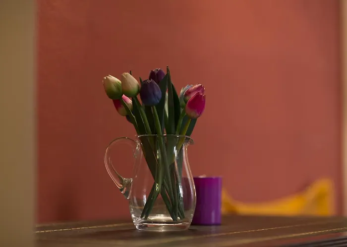 Casa Magnolia Apartment